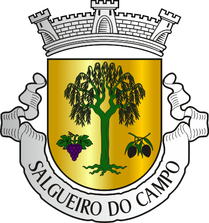 Brasão da freguesia de Salgueiro do Campo - Salgueiro do Campo civil parish, coat-of-arms