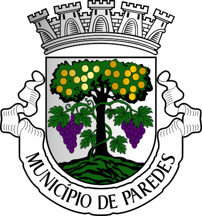 Brasão do Município de Paredes - Paredes municipal coat-of-arms