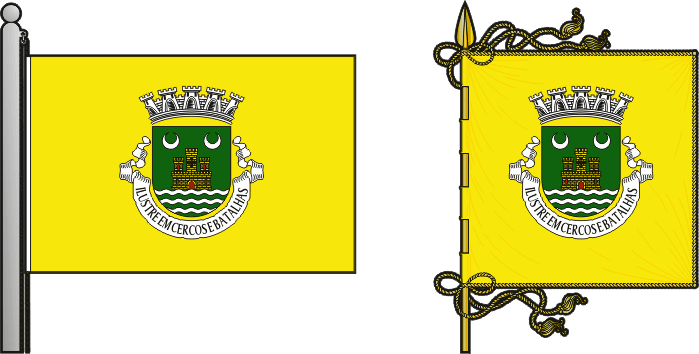 Bandeira e estandarte do Concelho de Diu - Diu municipal flag and banner Bandeira e estandarte do Concelho de Diu - Diu municipal flag and banner