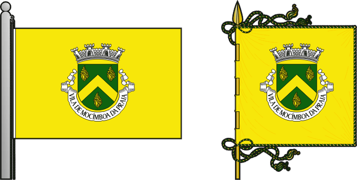 Bandeira e estandarte da circunscrição de Mocímboa da Praia - Mocímboa da Praia circunscription flag and banner