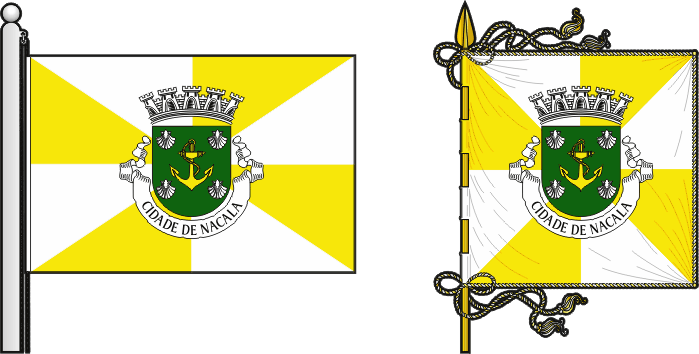 Bandeira e estandarte do Concelho de Fernão Veloso - Fernão Veloso municipal flag and banner Bandeira e estandarte do Concelho de Fernão Veloso - Fernão Veloso municipal flag and banner