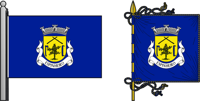 Bandeira e estandarte da antiga freguesia de Espinheiro - Espinheiro former civil parish, flag and banner