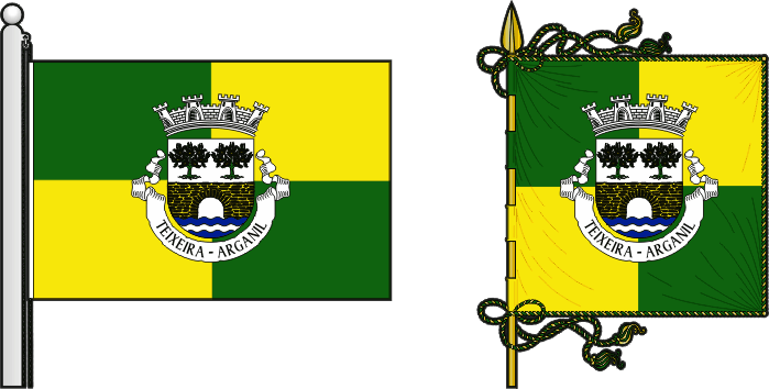 Bandeira e estandarte da antiga freguesia de Teixeira - Teixeira former civil parish, flag and banner Bandeira e estandarte da antiga freguesia de Teixeira - Teixeira former civil parish, flag and banner