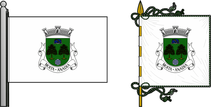 Bandeira e estandarte da freguesia de Moita - Moita civil parish, flag and banner