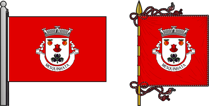 Bandeira e estandarte da antiga freguesia de Mesquinhata - Mesquinhata former civil parish, flag and banner Bandeira e estandarte da antiga freguesia de Mesquinhata - Mesquinhata former civil parish, flag and banner