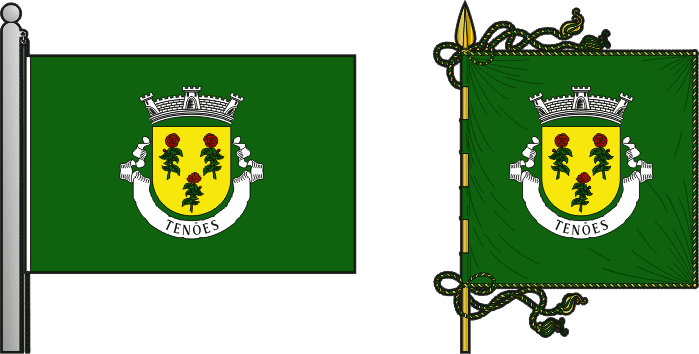 Bandeira e estandarte da antiga freguesia de Tenões - Tenões former civil parish, flag and banner Bandeira e estandarte da antiga freguesia de Tenões - Tenões former civil parish, flag and banner