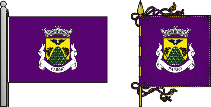 Bandeira e estandarte da antiga freguesia de Painho - Painho former civil parish, flag and banner
