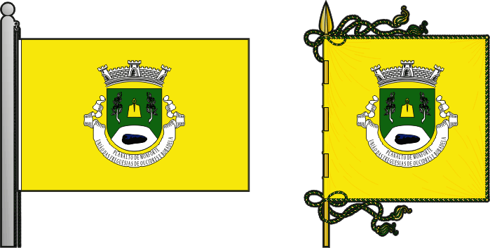 Bandeira e estandarte de Planalto de Monforte (União das freguesias de Oucidres e Bobadela) - Monforte Plateau (Oucidres e Bobadela civil parishes union) flag and banner Bandeira e estandarte de Planalto de Monforte (União das freguesias de Oucidres e Bobadela) - Monforte Plateau (Oucidres e Bobadela civil parishes union) flag and banner