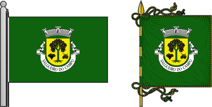 Bandeira e estandarte da freguesia de Salgueiro do Campo - Salgueiro do Campo civil parish, flag and banner