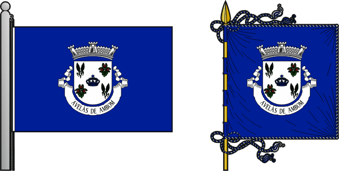 Bandeira e estandarte da antiga freguesia de Avelãs de Ambom - Avelãs de Ambom former civil parish, flag and banner Bandeira e estandarte da antiga freguesia de Avelãs de Ambom - Avelãs de Ambom former civil parish, flag and banner