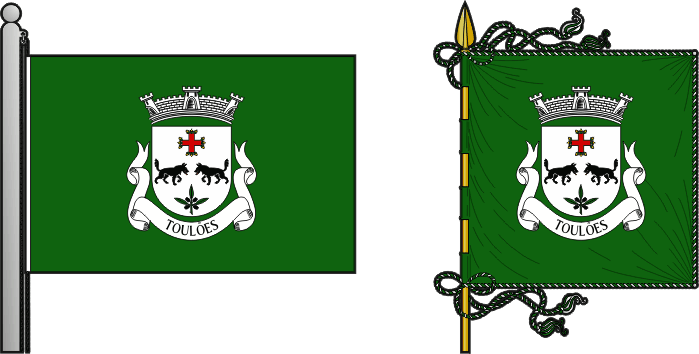Bandeira e estandarte da freguesia de Toulões - Toulões civil parish, flag and banner Bandeira e estandarte da freguesia de Toulões - Toulões civil parish, flag and banner