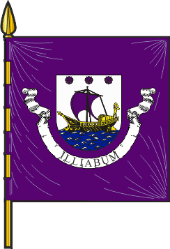 Estandarte do Município de Ílhavo - Ílhavo municipal banner Estandarte do Município de Ílhavo - Ílhavo municipal banner