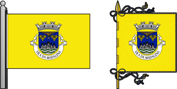 Bandeira e estandarte do Município da Madalena - Madalena municipal flag and banner Bandeira e estandarte do Município da Madalena - Madalena municipal flag and banner