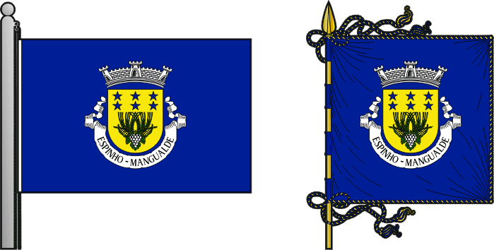 Bandeira e estandarte da freguesia de Espinho - Espinho civil parish, flag and banner Bandeira e estandarte da freguesia de Espinho - Espinho civil parish, flag and banner