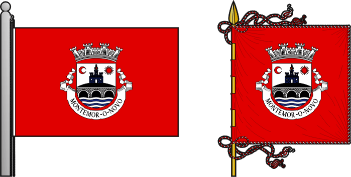 Bandeira e estandarte do município de Montemor-o-Novo - Montemor-o-Novo municipal flag and banner Bandeira e estandarte do município de Montemor-o-Novo - Montemor-o-Novo municipal flag and banner