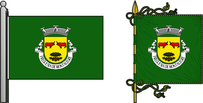 Bandeira e estandarte da antiga freguesia de Montalegre - Montalegre former civil parish, flag and banner Bandeira e estandarte da antiga freguesia de Montalegre - Montalegre former civil parish, flag and banner