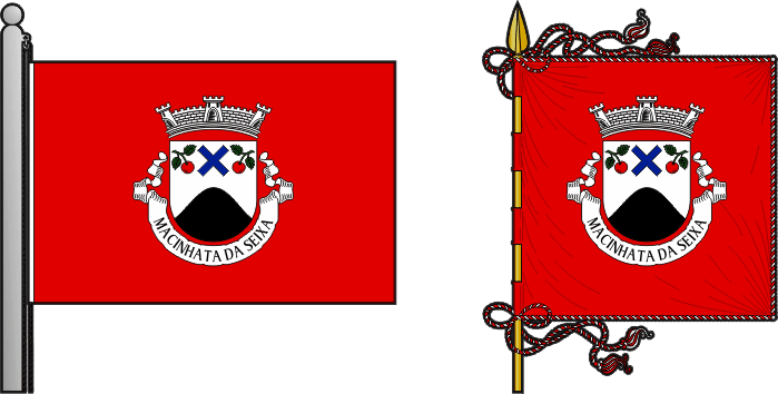 Bandeira e estandarte da antiga freguesia de Macinhata da Seixa - Macinhata da Seixa former civil parish, flag and banner Bandeira e estandarte da antiga freguesia de Macinhata da Seixa - Macinhata da Seixa former civil parish, flag and banner