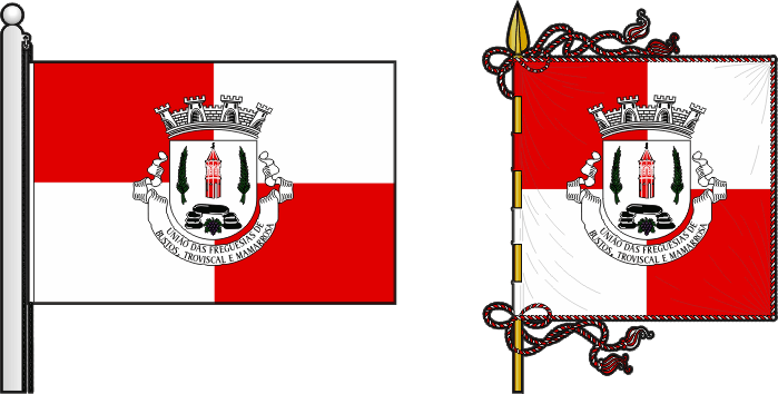 Bandeira e estandarte da União das freguesias de Bustos, Troviscal e Mamarrosa - Bustos, Troviscal and Mamarrosa civil parishes union flag and banner