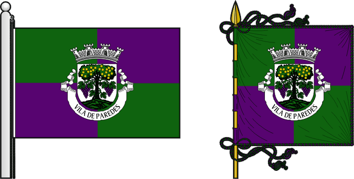 Bandeira e estandarte do Município de Paredes - Paredes municipal flag and banner Bandeira e estandarte do Município de Paredes - Paredes municipal flag and banner