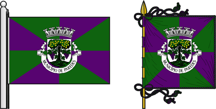 Bandeira e estandarte do Município de Paredes - Paredes municipal flag and banner Bandeira e estandarte do Município de Paredes - Paredes municipal flag and banner