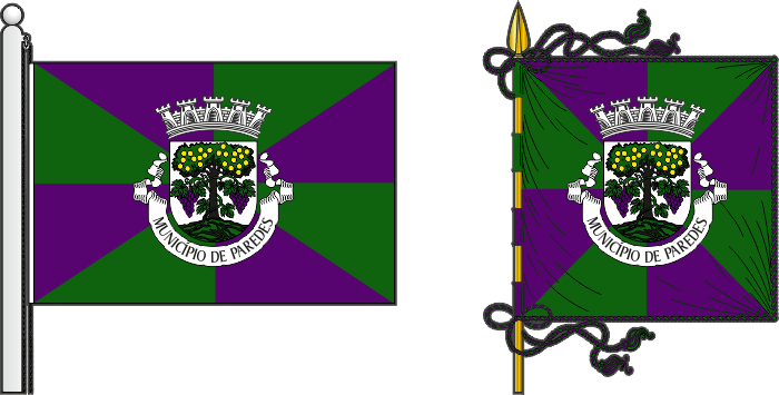 Bandeira e estandarte do Município de Paredes - Paredes municipal flag and banner Bandeira e estandarte do Município de Paredes - Paredes municipal flag and banner