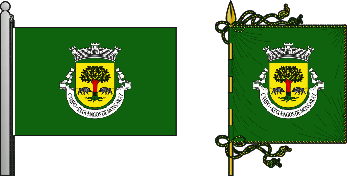 Bandeira e estandarte da antiga freguesia de Campo - Campo former civil parish, flag and banner Bandeira e estandarte da antiga freguesia de Campo - Campo former civil parish, flag and banner