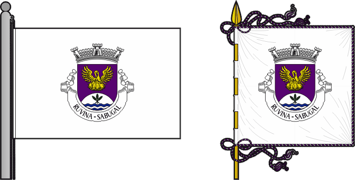 Bandeira e estandarte da antiga freguesia de Ruvina - Ruvina former civil parish, flag and banner Bandeira e estandarte da antiga freguesia de Ruvina - Ruvina former civil parish, flag and banner