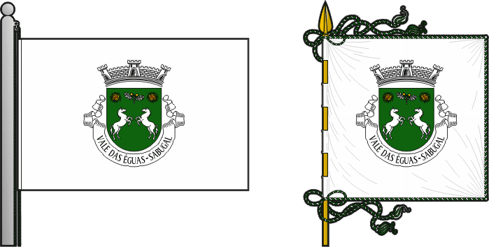 Bandeira e estandarte da antiga freguesia de Vale das Éguas - Vale das Éguas former civil parish, flag and banner Bandeira e estandarte da antiga freguesia de Vale das Éguas - Vale das Éguas former civil parish, flag and banner