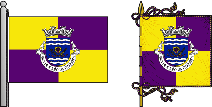 Primeira proposta para a bandeira e estandarte do Município de São João da Pesqueira - São João da Pesqueira municipal flag and banner first proposal
