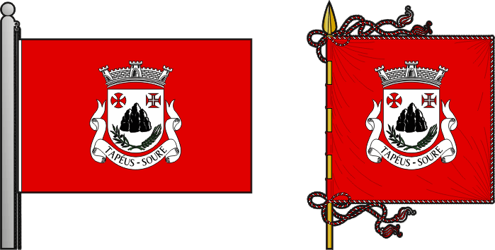Bandeira e estandarte da freguesia de Tapéus - Tapéus civil parish, flag and banner Bandeira e estandarte da freguesia de Tapéus - Tapéus civil parish, flag and banner