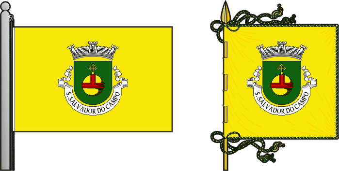 Bandeira e estandarte da antiga freguesia de São Salvador do Campo - São Salvador do Campo former civil parish, flag and banner Bandeira e estandarte da antiga freguesia de São Salvador do Campo - São Salvador do Campo former civil parish, flag and banner