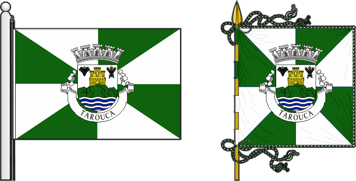 Bandeira e estandarte do Município de Tarouca - Tarouca municipal flag and banner Bandeira e estandarte do Tarouca - Tarouca municipal flag and banner