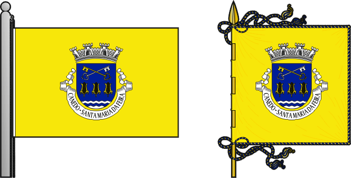 Bandeira e estandarte da antiga freguesia de Canedo - Canedo former civil parish, flag and banner Bandeira e estandarte da antiga freguesia de Canedo - Canedo former civil parish, flag and banner