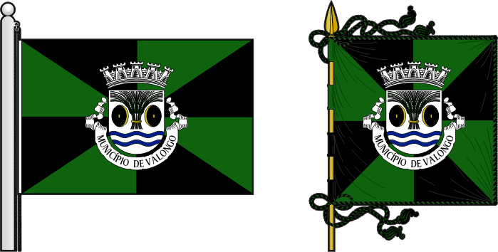 Bandeira e estandarte do Município de Valongo - Valongo municipal flag and banner Bandeira e estandarte do Município de Valongo - Valongo municipal flag and banner