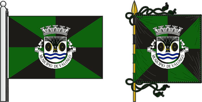 Bandeira e estandarte do Município de Valongo - Valongo municipal flag and banner Bandeira e estandarte do Município de Valongo - Valongo municipal flag and banner
