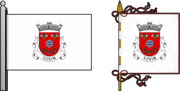 Bandeira e estandarte da antiga freguesia de Sonim - Sonim former civil parish, flag and banner