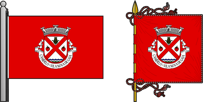 Bandeira e estandarte da freguesia de Canidelo - Canidelo civil parish, flag and banner Bandeira e estandarte da freguesia de Canidelo - Canidelo civil parish, flag and banner