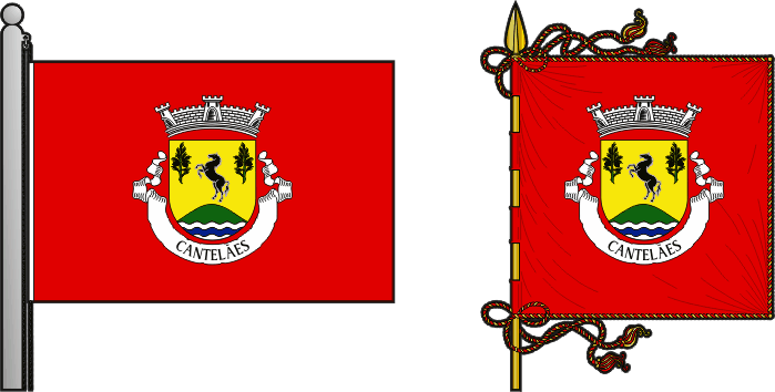 Bandeira e estandarte da freguesia de Cantelães - Cantelães civil parish, flag and banner Bandeira e estandarte da freguesia de Cantelães - Cantelães civil parish, flag and banner