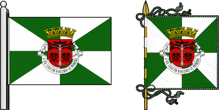Bandeira e estandarte do Concelho de Díli - Díli municipal flag and banner Bandeira e estandarte do Concelho de Díli - Díli municipal flag and banner