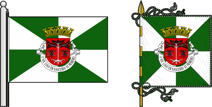 Bandeira e estandarte do Concelho de Díli - Díli municipal flag and banner Bandeira e estandarte do Concelho de Díli - Díli municipal flag and banner