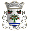Alcongosta (Fundão)
