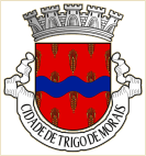 Concelho do Baixo Limpopo