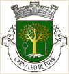 Carvalho de Egas (Vila Flor)