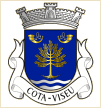 Cota (Viseu)