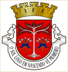 Concelho de Díli