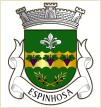 Espinhosa (São João da Pesqueira)