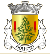 Fiolhoso (Murça)