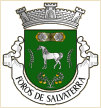 Foros de Salvaterra (Salvaterra de Magos)