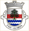 Faia (Guarda)