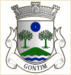 Gontim (Fafe)
